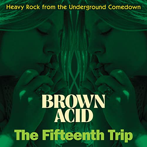 Vinyl album cover: green-toned face with text "Brown Acid: The Fifteenth Trip".