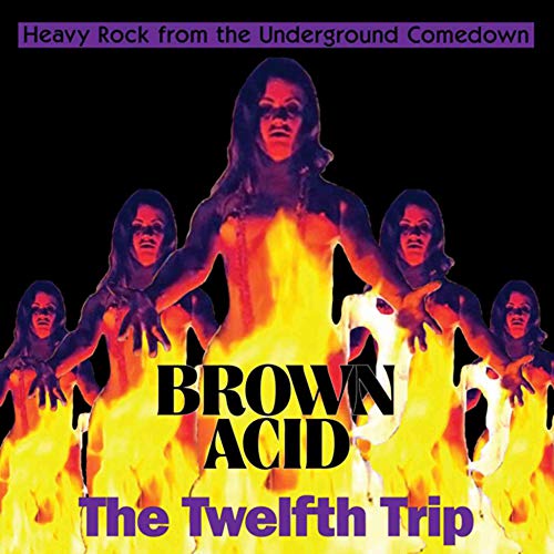 CD cover for "Brown Acid: The Twelfth Trip" featuring a fiery, distorted image.