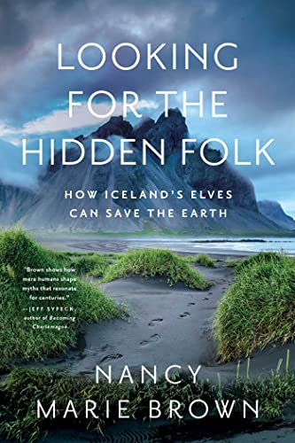 Book cover showing a misty mountain behind a black sand beach with grassy mounds.