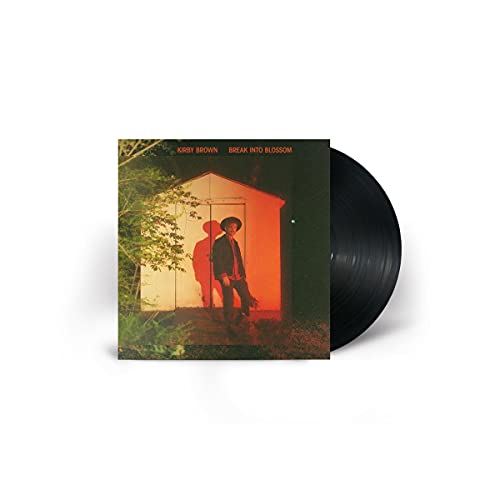 Vinyl record cover showing a man standing in front of a shed at night.