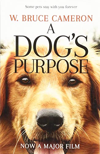 Book cover featuring a close-up of a golden retriever's face with bold title text.