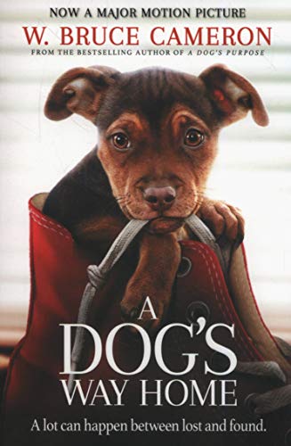 Brown puppy nestled in a red shoe, book cover illustration.