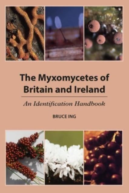 Book cover displaying colorful images of slime molds, titled “The Myxomycetes of Britain and Ireland.”