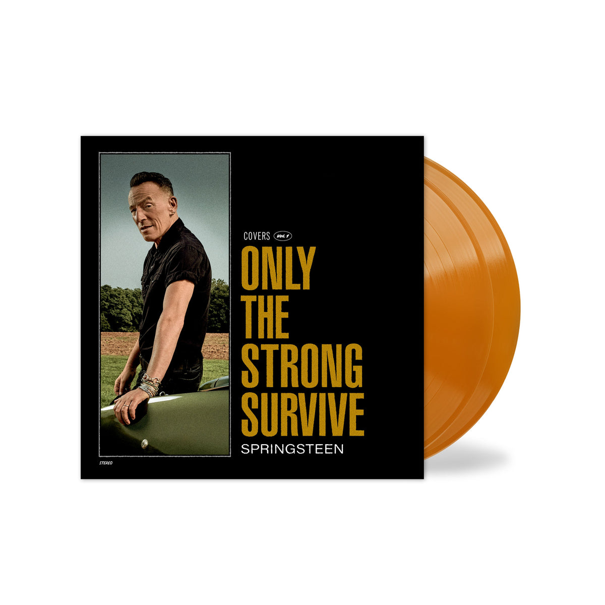 Bruce Springsteen album cover with orange vinyl record shown beside it.