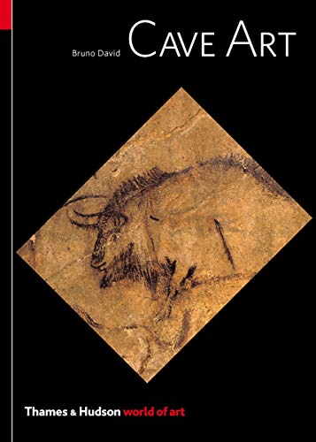 Book cover titled Cave Art by Bruno David featuring a prehistoric bison cave painting.