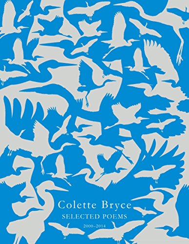 Book cover with a blue background and silhouettes of flying birds.