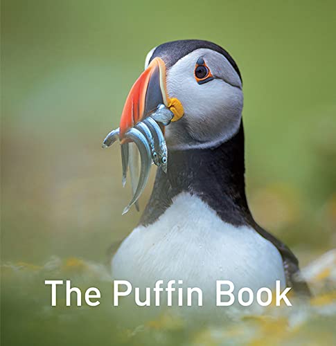 Puffin with colorful beak holding silver fish, book title below.