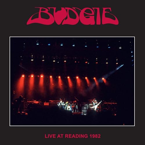 Budgie band logo above a concert photo of musicians performing on a dark stage.
