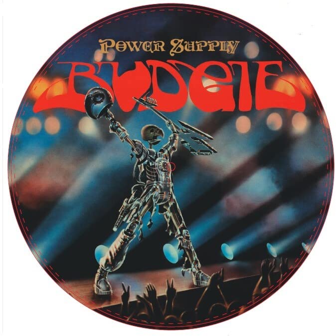 Power Supply" vinyl record with a skeleton playing guitar onstage.