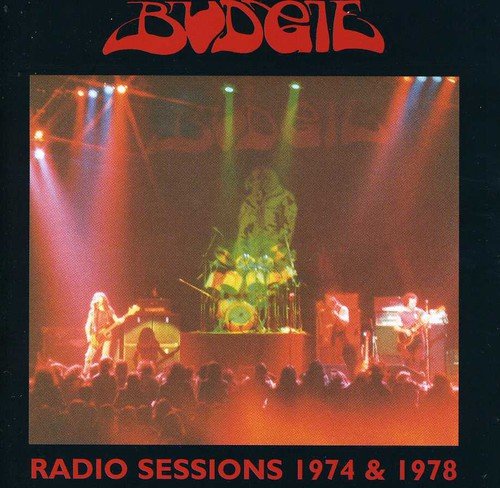 Budgie performing on stage with bright spotlights and an audience in the foreground.