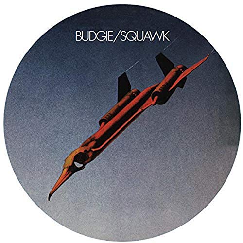 Round vinyl record cover featuring a red jet airplane in flight.