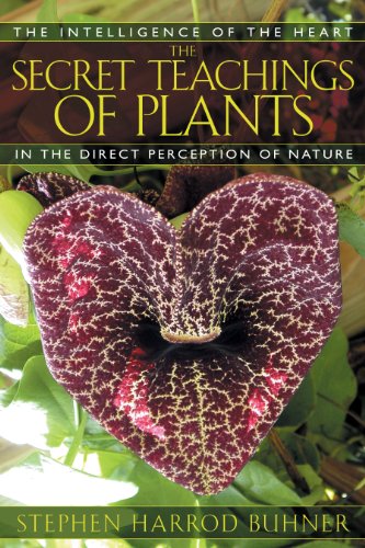 Book cover featuring a maroon and white patterned flower with green leaves.