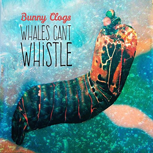 CD cover for Bunny Clogs’ “Whales Can’t Whistle” featuring a colorful worm.