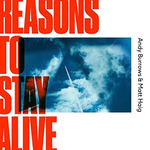 "Vinyl record cover with red text 'Reasons to Stay Alive' and cloudy blue sky image."