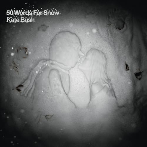 Kate Bush album cover: a couple sculpted in snow, dark and atmospheric.
