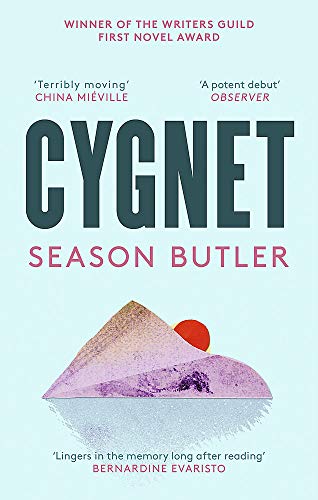 Book cover for “Cygnet” by Season Butler, with abstract landscape art.