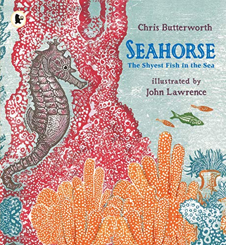 Book cover featuring an illustrated seahorse amidst coral and sea life.