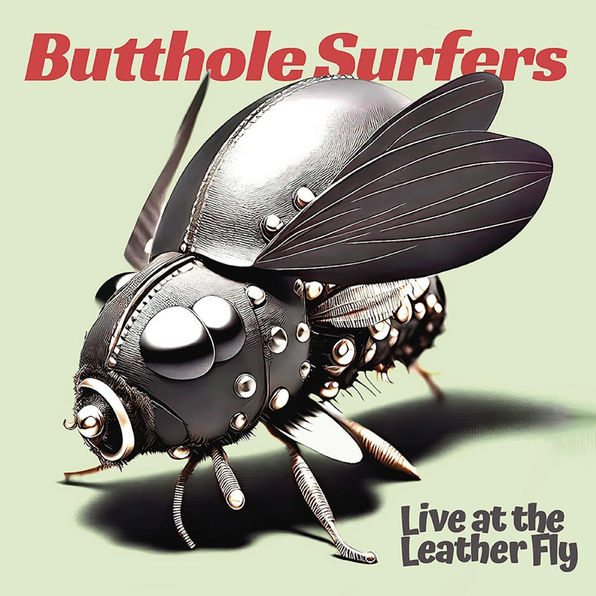A metallic, studded fly on a pale green background with band and album text.