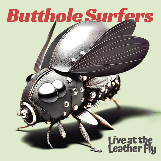 A metallic, studded fly on a pale green background with band and album text.