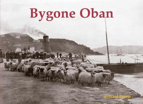 Vintage photograph of sheep being herded along a harbor waterfront.