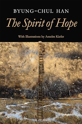 Book cover showing a tall ladder against a textured wall with gold and dark tones.