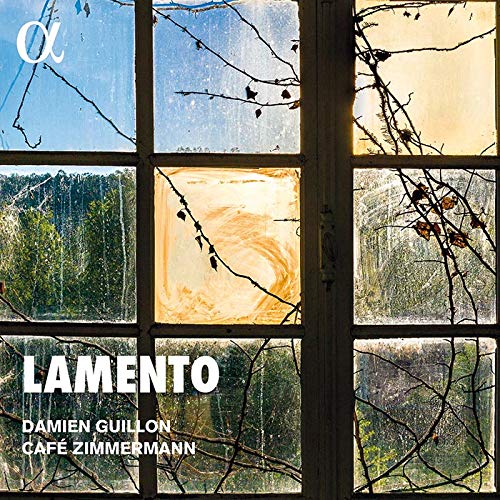 "CD cover featuring a broken window with branches and trees visible outside."