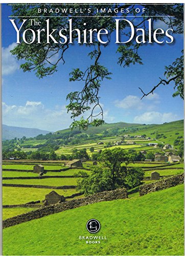 Rolling green hills and stone walls in the Yorkshire Dales landscape.