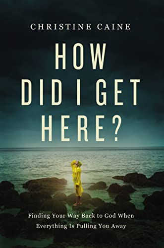 Book cover with a lone figure on rocky shore under stormy sky.