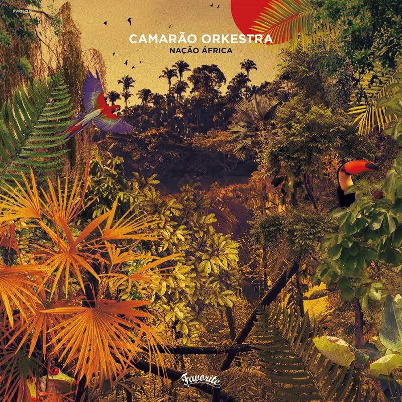 CD cover with tropical foliage, birds, and the title “Nação África.”