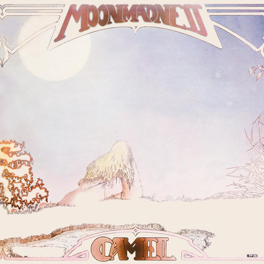 Album cover art featuring a person sitting beneath a large moon with stylized text.