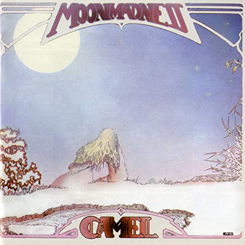 Album cover art showing a person sitting under a large moon, titled Moonmadness Camel.