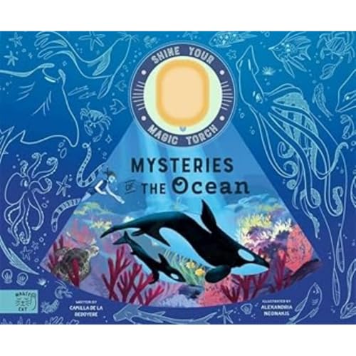 Book cover depicting marine life, including whales and a magic torch.