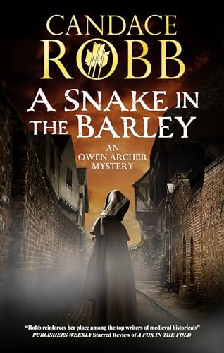 Book cover: hooded figure in a medieval town street.
