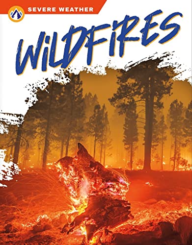 Book cover depicting a forest fire with burning trees and orange sky.