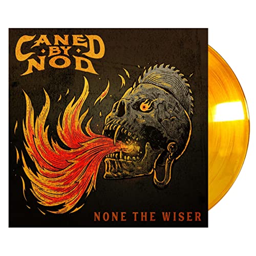 Vinyl record sleeve with a skull and flames on a black background.