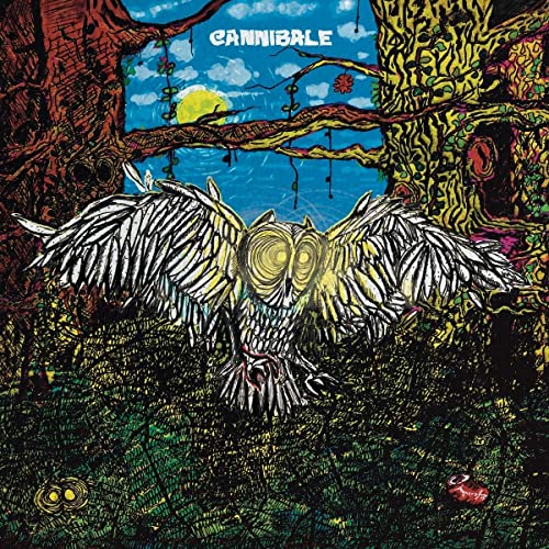 CD cover: illustrated owl with spread wings in a forest scene.
