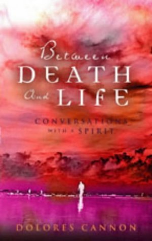 Book cover with a red, smoky sky over a figure standing by water.