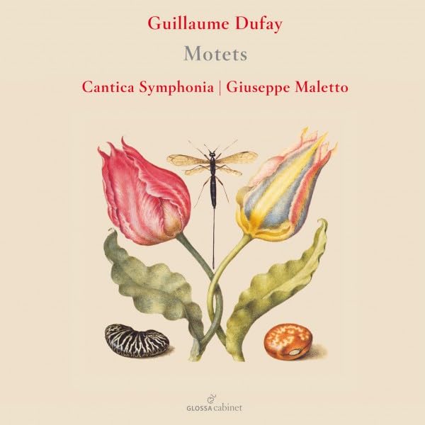 CD cover: flowers, a dragonfly, and text for Guillaume Dufay’s Motets.
