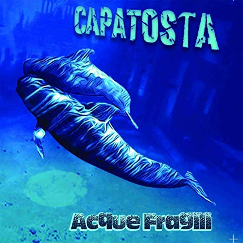 CD cover with blue dolphins swimming in a watery scene.