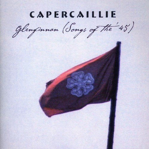 Album cover with black flag and blue emblem on a pole, light background.