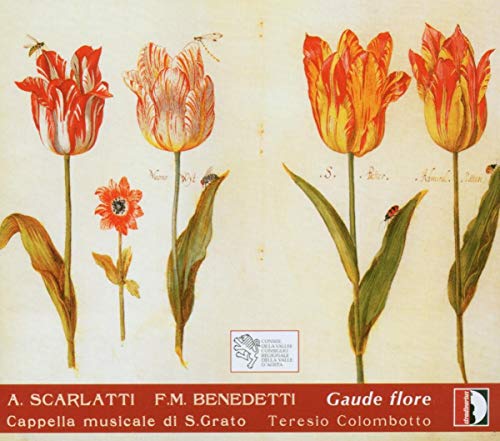 CD cover with tulip illustration and red banner featuring white text and a small logo.