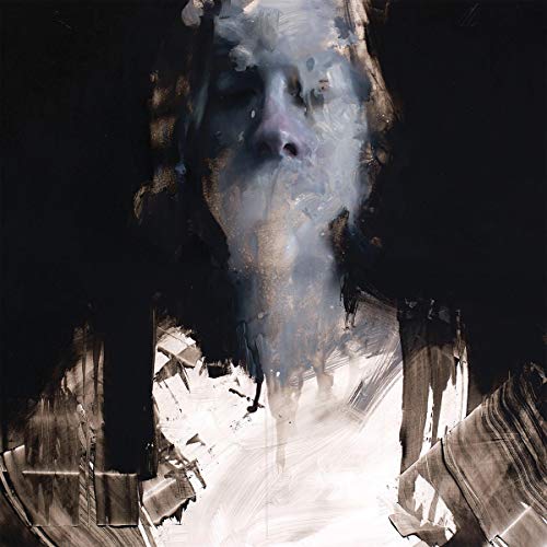 Abstract portrait of a person with blurred, painted features.