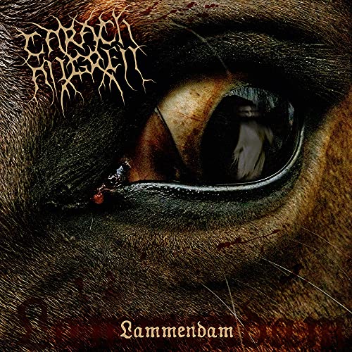 Close-up of a horse’s eye with the album title “Lammendam” below.