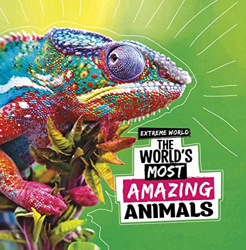 Book cover featuring a colorful chameleon amongst green and yellow foliage.