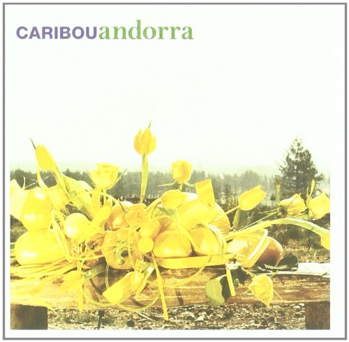 CD cover: yellow tulips and other flowers in a rustic garden.