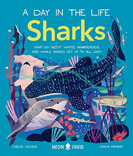 Book cover illustrating great white, hammerhead, and whale sharks in coral reef.