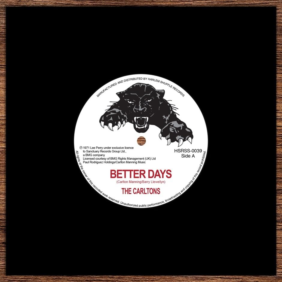 Black vinyl record label with a cartoon tiger and text "Better Days.