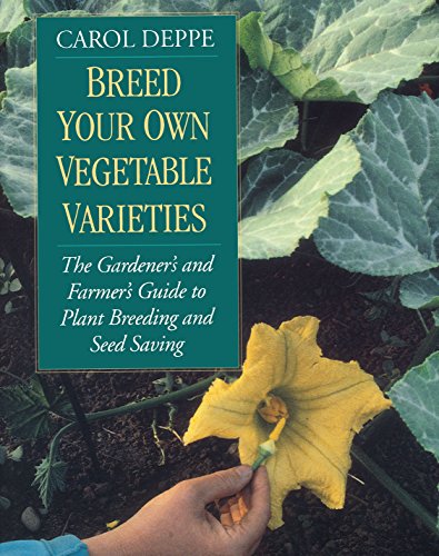 Book cover with title and image of a yellow squash blossom.