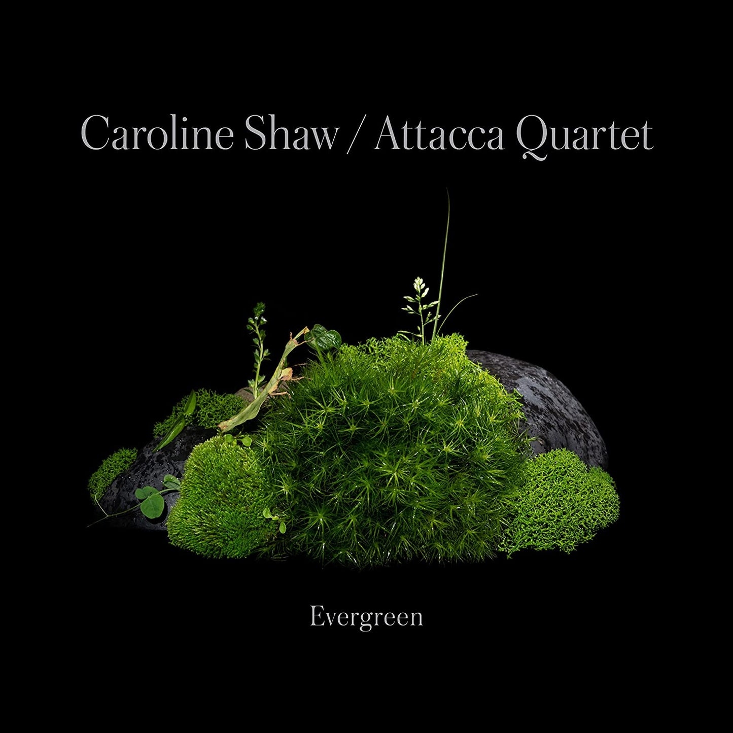 A CD cover featuring green moss on a rock against a black background.