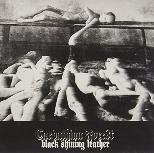Black and white album cover with nude figures in a disturbing scene.